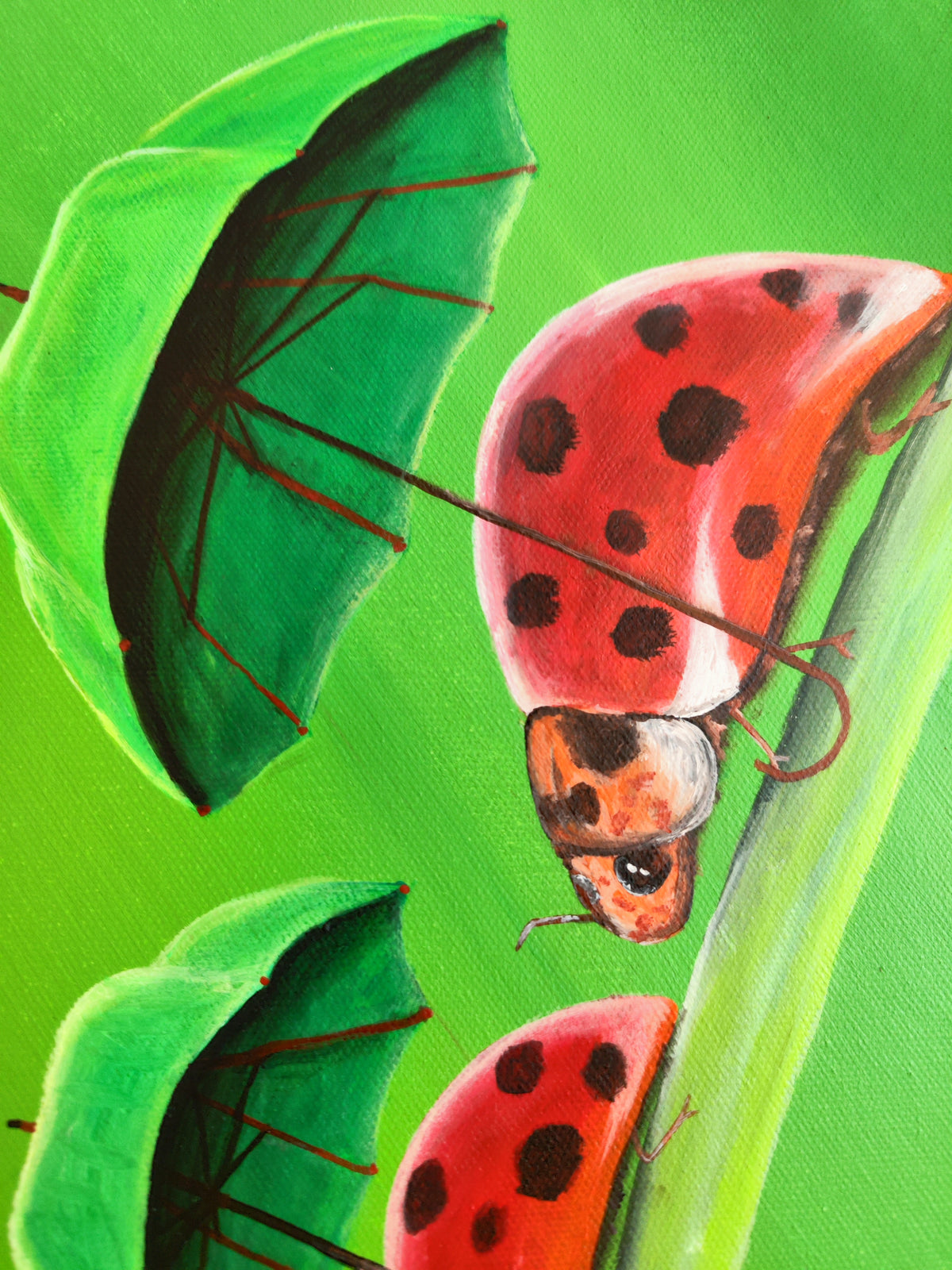 Umbrella Parade – Original Acrylic Ladybug Painting